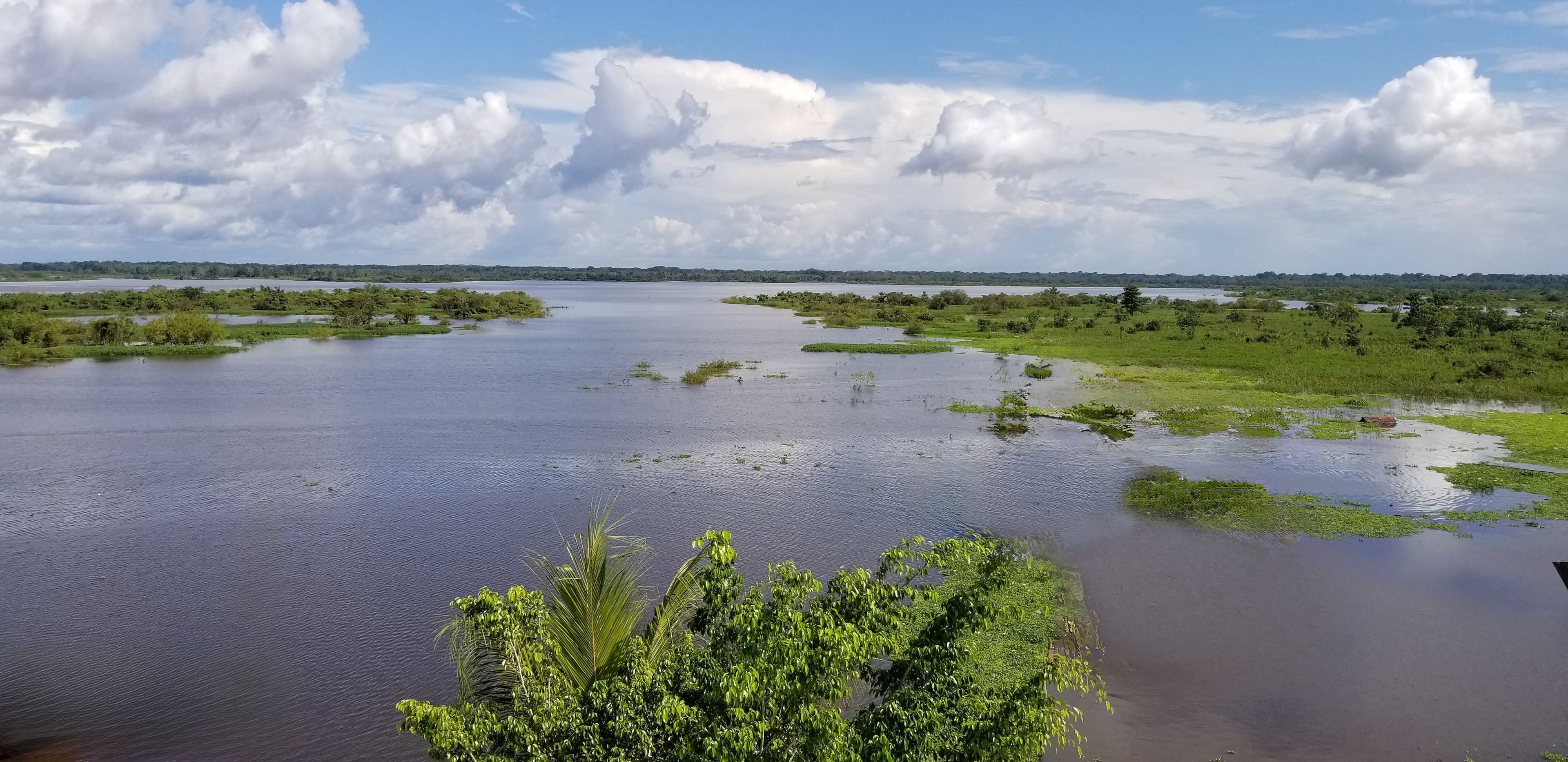 Expansive river landscape with green vegetation